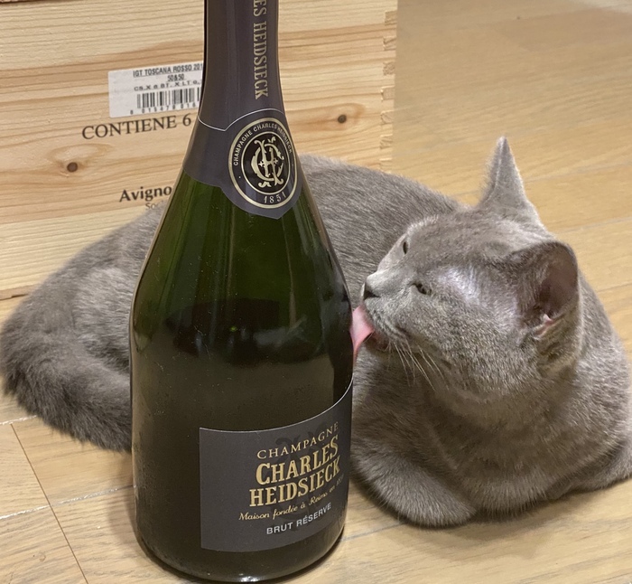 年マイベス お酒大好き女子 のペアリングが楽しいお店 大阪 京都 食べログまとめ