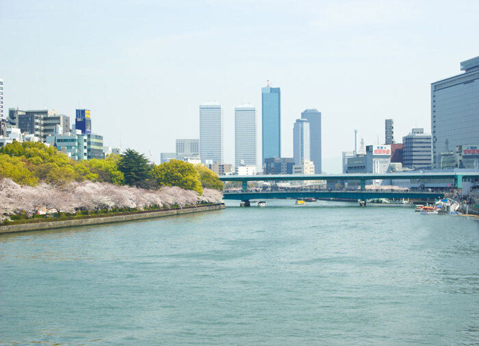 大阪 窓からお花見ができる素敵レストラン 食べログまとめ 大阪 窓からお花見ができる素敵レストラン 食べログまとめ