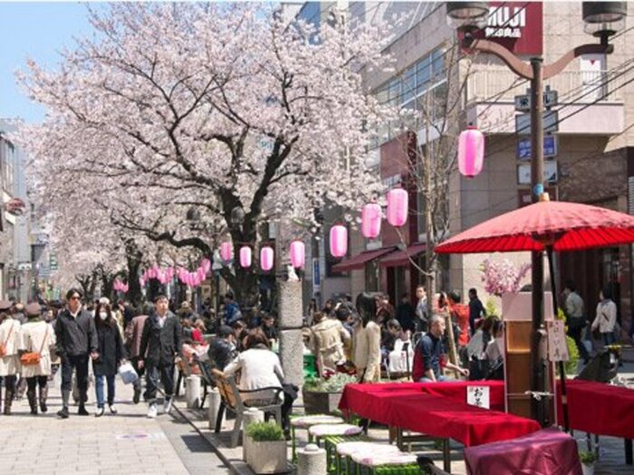 今年は4 4 5 自由が丘さくら祭りでお花見の後に行きたい素敵カフェ 食べログまとめ