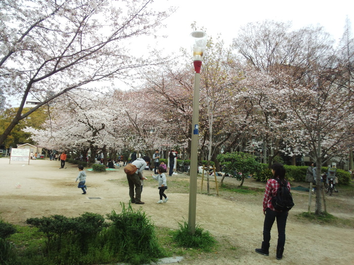 大阪お花見穴場スポット 靭公園 食べログまとめ 大阪お花見穴場スポット 靭公園 食べログまとめ