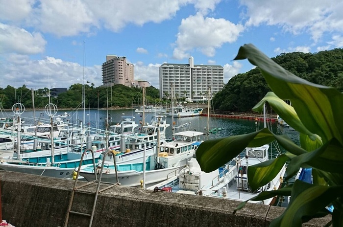 和歌山の美しい海沿いカフェめぐり 食べログまとめ