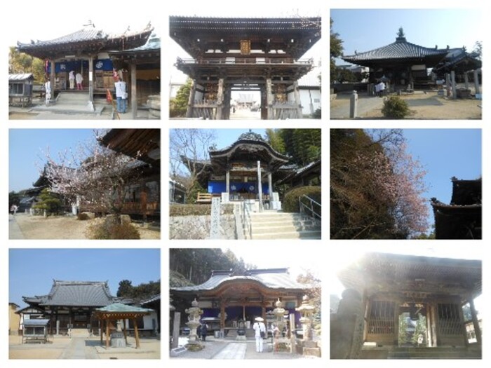 四国八十八ヶ所 お遍路の旅 愛媛 食べログまとめ