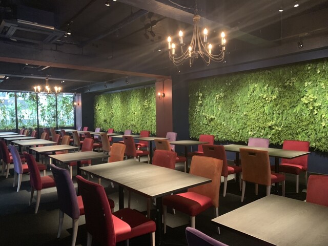 大型の森カフェ By 黄色のサイフ グリーン ハウス ヴァルト Green House Wald 三ノ宮 ｊｒ カフェ 食べログ