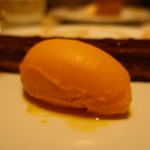 100002489 - マンゴーシャーベット