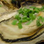 大衆料理　川治 - 牡蠣　アップ
