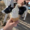 会津のべこの乳　アイス牧場