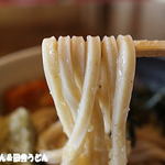 田舎うどん てつ - 胚芽うどん