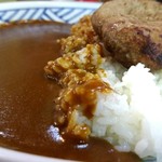 辛口カレーミヤジマ - ハンバーグカレー