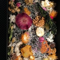 インカメラ コン テラッツァ - 