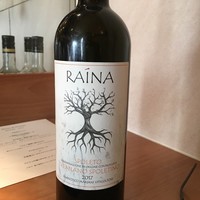 インカメラ コン テラッツァ - 