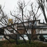 アルバトロス - 