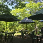 軽井沢の芽衣 - 