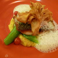 CANNA - 