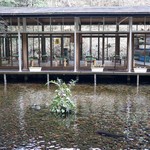 泉の鯉 - 店内