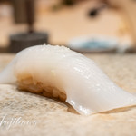 鮨 由う - アオリイカ