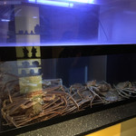 あしや - 浜坂から来た蟹