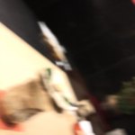 すし人　酒伊 - 