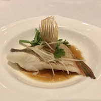 カントニーズ 燕 - 