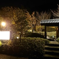 洋食 つばき - 