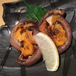 瀬戸内鮮魚料理店 - 