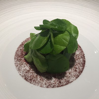 オマージュ - アオリイカのタルタル