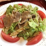 桃園 - 飛騨牛冷しゃぶサラダ