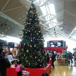 魚屋のどんぶり 魚錠 - 