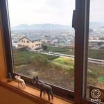 おしかの丘食堂 - 