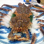 悠林館 - タラバ蟹のお刺身