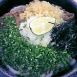手打うどん くうかい - 肉ぶっかけ中　ネギ多め