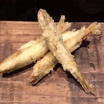 ろっかん - 琵琶湖のホンモロコ