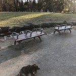 スターバックスコーヒー - 