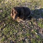 スターバックスコーヒー - 