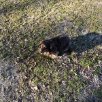 スターバックスコーヒー - 