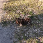 スターバックスコーヒー - 