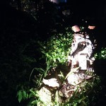 百年古家 大家 - 