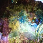 百年古家 大家 - 