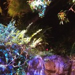 百年古家 大家 - 