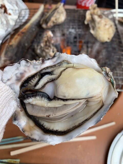 牡蠣の平尾 門司港 魚介料理 海鮮料理 食べログ 牡蠣の平尾 門司港 魚介料理 海鮮料理 食べログ