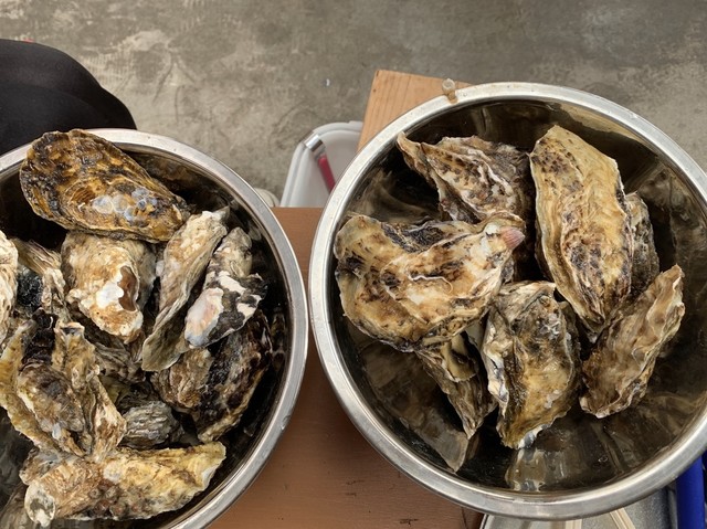 牡蠣の平尾 門司港 魚介料理 海鮮料理 食べログ 牡蠣の平尾 門司港 魚介料理 海鮮料理 食べログ