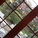 フランクリン・アベニュー - 部屋から見える外の景色