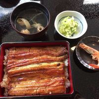 鰻 若松 - 