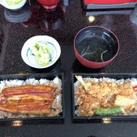 鰻 若松 - 