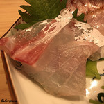 はらまさ - 真鯛の造り