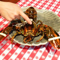 グランド・セントラル・オイスターバー&レストラン 品川店 - 凶暴なんで ﾀｲ━━━||Φ|(|ﾟ|∀|ﾟ|)|Φ||━━━ﾎ!! されてます