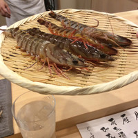 鮨まつやま - 活車海老