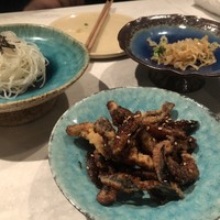 CINA New Modern Chinese - 