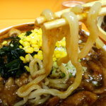 国産小麦粉を使用した自家製の手打ち麺はモチモチ♪