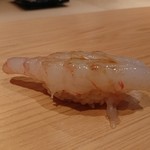 鮨 さかい - ボタンエビ