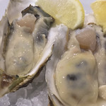 ビストロ ティアボ - 